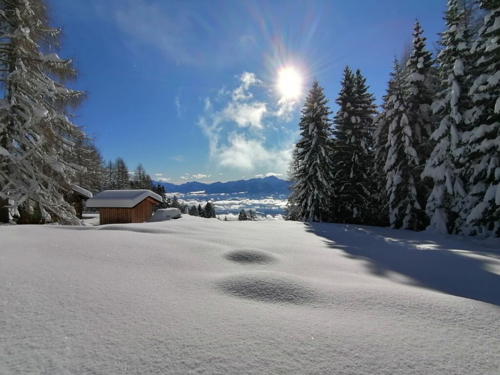 IMG-20220831-WA0058