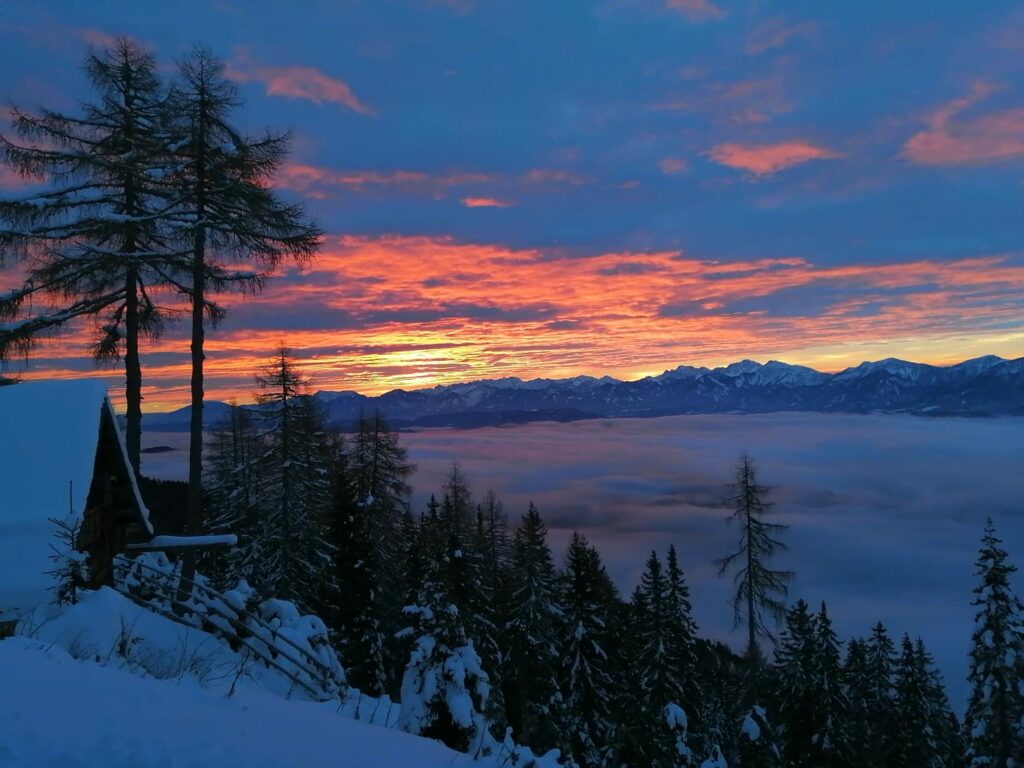 IMG-20220831-WA0065